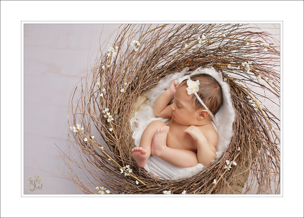 Best Puyallup baby photographer